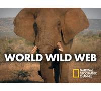 World Wild Web - Season 1