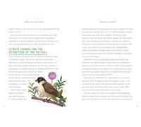 World Without Birds: How to Save Our Planet, One Bird at a Time: 2