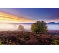 worlds hardest jigsaw puzzle 100 pieces,natural beauty,fog,bushes,heather 45,5x35,5CM