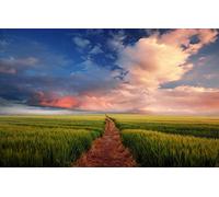 worlds hardest jigsaw puzzle 200 pieces,natural beauty,trail 35x25CM