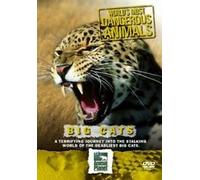 World's Most Dangerous Animals - Big Cats [DVD]