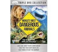 World's Most Dangerous Animals [DVD]
