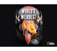 World's Weirdest - Season 1
