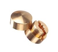 Worldwide Violoncello Quiet Bronze Wolf Tone Repressor for Practice Rehearsals Violoncello Against Wolf Noise Decreaser