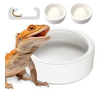Worm Dish - Large 2 Pcs Reptile Food Water Bowl Lizard Gecko Ceramic Pet Bowls, Mealworms Bowl for Bearded Dragon Chameleon Hermit Crab Dubia Rock Reptile Cricket Dish Anti-Escape Mini Reptile Feeder
