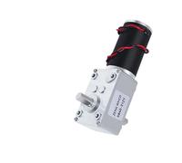 Worm Gear Reduction DC electronic starter 5840-31zy Double Short Output Shaft With Self-Locking Full Metal Gear 260RPM_24V