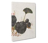 Worm on a Green Leaf by Shibata Zeshin Canvas Print | Gallery Wrapped 30mm Frame Wall Art | 30x20 inches | Ready to Hang | Modern Floral Picture | Living Room Bedroom Lounge Office