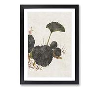 Worm on a Green Leaf by Shibata Zeshin Framed Print | A2 Black Framed Wall Art | Ready to Hang | Modern Floral Picture | Living Room Bedroom Lounge Office
