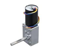 Worm Reduction Motor 12V/24V Adjustable Speed 6RPM~470RP Brushless Motor(40RPM,12V Single Motor)