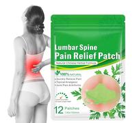 Wormwood painn Relief Patches | 12 Pieces Natural painn Relief Patch | painn Wormwood Relief Patch for Joint Bone painss The Back, Lumbar, Spines, Or Neck