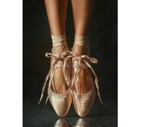 Worn Ballet Shoes Stamped Cross Stitch Kits for Beginners Adults - Preprinted 11CT Easy Pattern Needlepoint Kits, Arts and Crafts for Home Decor (11.8x15.7inch) 692