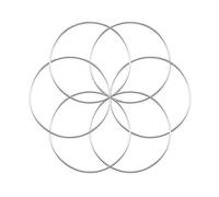 Worown 6pcs 20cm Floral Wreath Hoops, Silver Metal Rings for Making Wedding Wreath Decor and Wall Hanging Craft