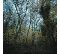worriedaboutsatan - Time Lapse [VINYL]