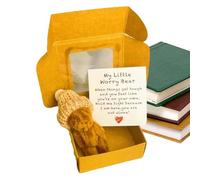 Worry Bear Hug - Handmade Plush Bear In Box | Little Animal Pocket Toy With Inspirational Card |Tiny Sending You Thinking Of You Card Fun