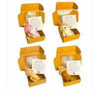 Worry Bear Hug in a Box, 4PCS A Little Pocket Bear Hug, Mini Worry Bear with Inspirational Card, Cute Doll Decoration Positive Gifts for Women Friend Birthday Mother's Day