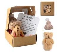 Worry Bear Hug in a Box, A Little Pocket Bear Hug, Mini Plush Bears in Box, Get Well Soon Gifts for kids, Pocket Bears with Inspirational Card, Positive Gift for Women Men Valentine's Day Christmas