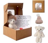 Worry Bear Hug in a Box, A Little Pocket Bear Hug Mini Plush Bears in Box Get Well Soon Gifts for kids Pocket Bears with Inspirational Card Positive Gift for Women Men Valentine's Day Christmas White