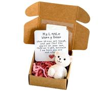 Worry Bear Hug in a Box for Women Girls Mini Teddy Bear Dolls with Inspirational Card Get Well Soon Teddy Thinking of You Positive Mini Gifts for Birthday Christmas New Year Valentine's Day (White)
