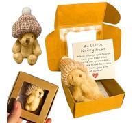 Worry Bear Hug in a Box for Women, Pocket Bear Handmade Mini Plush Little Bears with Inspirational Card, Emotional Support Bears Gift for Lovers and Friends Graduation Motivational Present, Age 15+