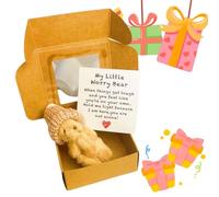 Worry Bear Hug in a Box,Little Pocket Bear Hug,Cute Tiny Te/ddy Bear Gift,Cute Pocket-Sized Plu/sh Gift,Perfect Sending a Hug Gift,Positive Gifts for Friends,STU/ffed ANI/mals Soft to/y(Light Brown)