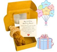 Worry Bear Hug in a Box,Little Pocket Bear Hug,Cute Tiny Te/ddy Bear Gift,Cute Pocket-Sized Plu/sh Gift,Perfect Sending a Hug Gift,Positive Gifts for Friends,STU/ffed ANI/mals Soft to/y(Dark Brown)