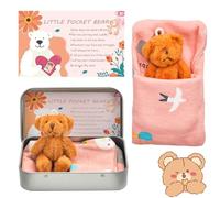 Worry Bear Hug in a Tin Box, A Little Pocket Bear Hug with Inspirational Card, Fluffie Stuffies Teddy Doll, Good Luck Gifts, First Day at School Gift, Christmas Party Bags Fillers for Kids Friend (A)
