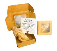 Worry Bear in a Box, My Little Worry Bear in a Box Positive Gift for Lovers Friends Graduation Desk Accessories(Brown)