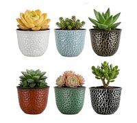 Worth Garden Plastic Planters, Indoor Set of 6 Flower Plant Pots Retro Appearance Decorative Pot with Drainage & Rubber Plugs, Multicolor 8'' Dia. x 6'' H.
