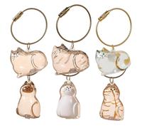 WORUIB 6PCS Cat Memorial Gifts,cat Keychain,Transparent Pet Fur & Whisker Storage Keepsake,storing Memories for Sad Cat Owners,suitable for Those Who Have Lost Their Pets.
