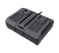 Worx 20V 4A Dual Port Charger Wa3883