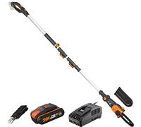 Worx 20V WG349E Cordless Chainsaw Pruner, 20 cm Guide, Telescopic Handle with Cutting Height up to 3.6 m, with Harness and Blade Sheath, Comes with 1 x 2Ah Battery and Fast Charger