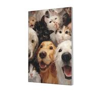 Woshuwo Fun Community Of Cats And Dogs Canvas Wall Art Poster Aesthetic Print Painting For Dorm Bedroom Living Room,30x45cm Framed