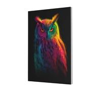 Woshuwo Rainbow Owl Neon Gradients Surreal Canvas Wall Art Poster Aesthetic Print Painting For Dorm Bedroom Living Room,30x45cm Framed