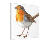 Woshuwo Realistic Bird Canvas Wall Art Poster Aesthetic Print Painting For Dorm Bedroom Living Room,30x30cm Framed