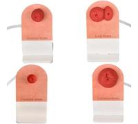 Wound care wound models, stoma care simulators, tabletop fecal stoma models, 4 stoma types, stoma practice model kit for educational demonstrations