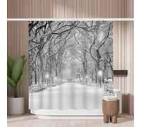 Woutay Shower Curtain Mould Proof Resistant Winter Street Scenery,Water Repellant Fabric,Polyester,with 12 Plastic Hooks
