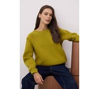 Wovcor Basic Crew Neck Fleece Sweatshirt In Olive Olive