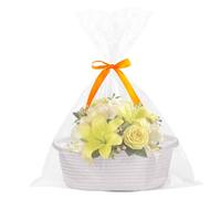 Woven Baskets for Organizing, Empty Cotton Rope Basket for Storage Toy, Portable Organizer Solutions for Dorm Kitchens Bathrooms Living Room Apartment Nursery Bedside Tables Christmas