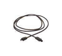 Woven Leather Belt for Women COMMA Marron S