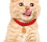 Woven Pet Collar - Year of The Snake Kitten Scarf, Adjustable Red Puppy Neck Collar, Durable Comfortable Design, Decorative Accessory | Cat for Cats, Puppies, Small Dogs, Daily Wear, Party