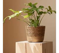 Woven Plant Pot with Liner Seagrass Natural Planter Basket Decorative Flower Pots Cover Indoor Planter with Waterproof Liner Plant Containers Home Plant Decoration for Flowers Plants Trees (Medium)