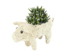 Woven Plant Stand | Creative Handmade Rattan Animal Planter | Small Cactus Flower Pots, Cartoon Animal Bonsai Plant Holder for Flower Shops, Home, Cafes, Wedding Decor