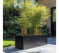 Woven Wood 100cm Zinc Galvanised Matte Black Trough Planter Woven Wood Black