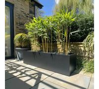 Woven Wood 120cm Zinc Galvanised Matte Black Trough Planter Woven Wood Black