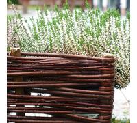 Woven Wood 2M Willow Lawn Edging - 20Cm Height