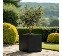 Woven Wood 40Cm Zinc Galvanised Matte Black Square Planter