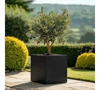 Woven Wood 40cm Zinc Galvanised Matte Black Square Planter Woven Wood Black