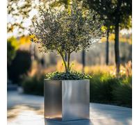 Woven Wood 50Cm Zinc Galvanised Brushed Silver Square Planter