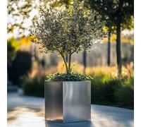 Woven Wood 50cm Zinc Galvanised Brushed Silver Square Planter Woven Wood Silver