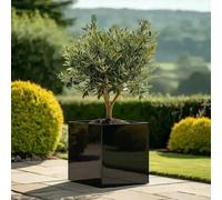 Woven Wood 50Cm Zinc Platinum Black Square Planter